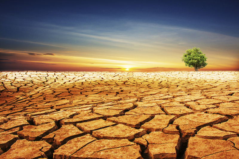 drought, water, desert, drought emergency