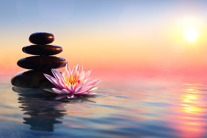 zen, lotus, rocks, water