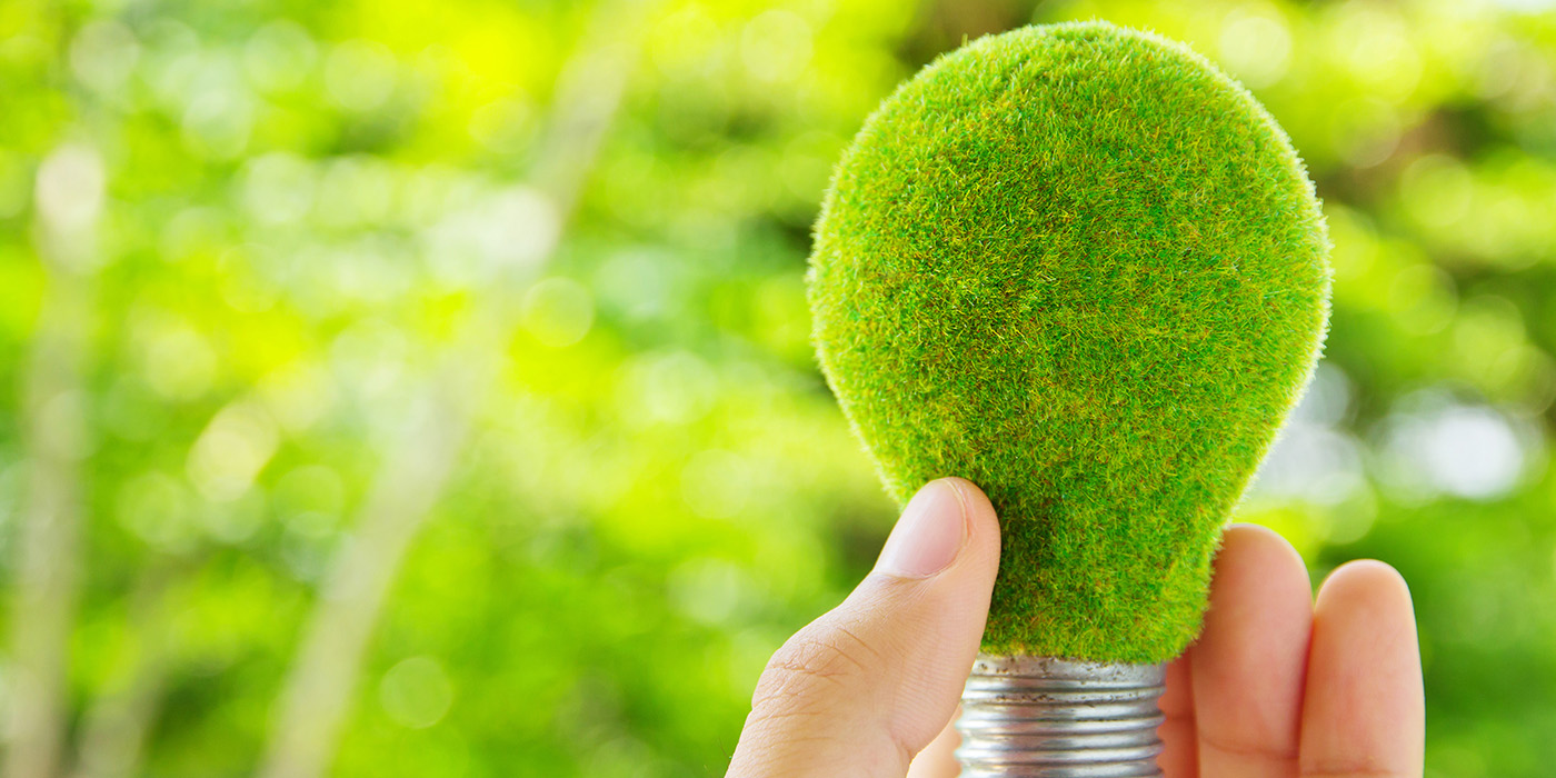 green energy, light bulb, SBA 504 Green Loan Program