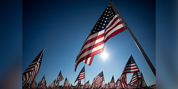 American flags, memorial day, veterans, flag